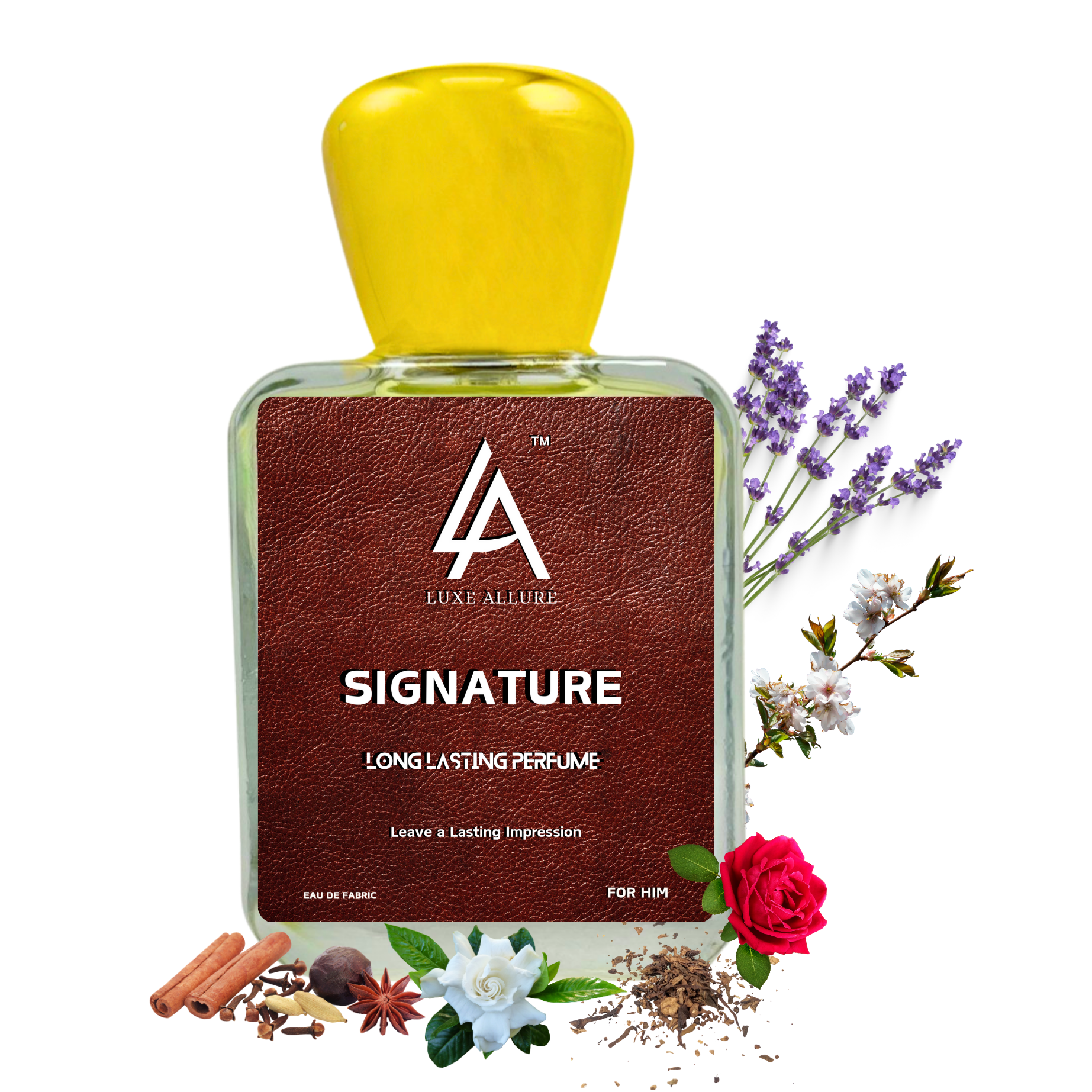 SIGNATURE-50ml - Image 3